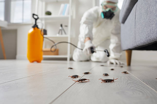 Commercial Kitchen Cockroach Control in Salina